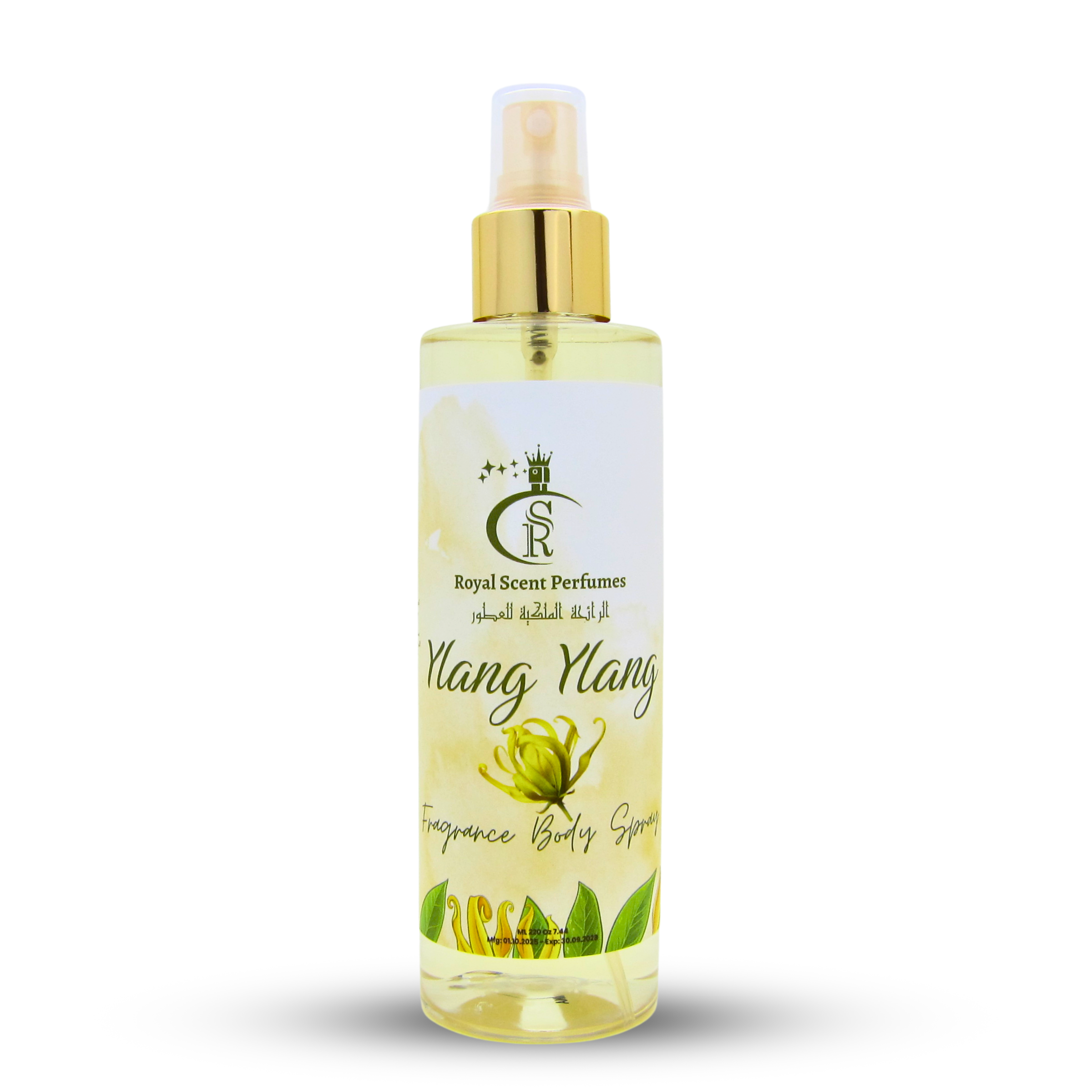 بخاخ الجسم فانتاستيك إسنس