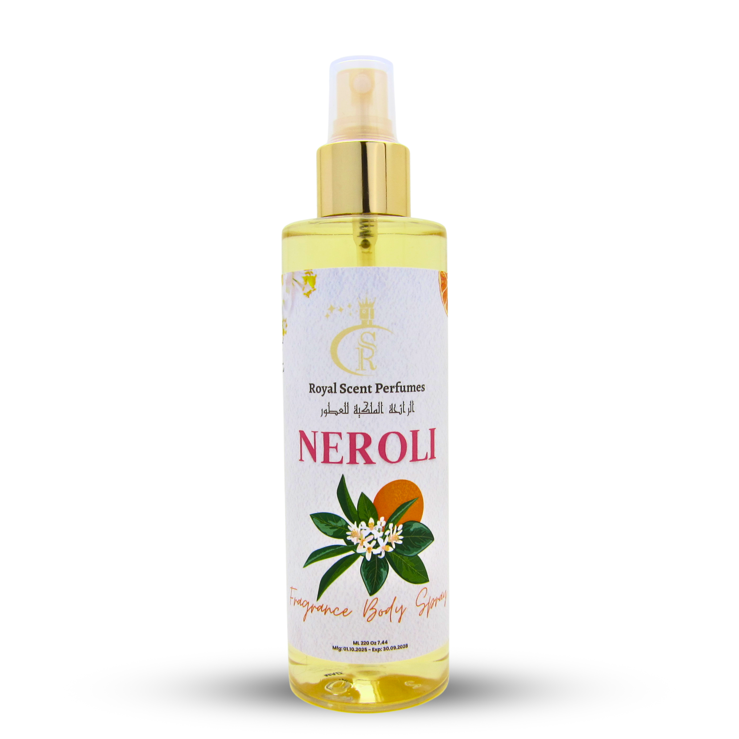 بخاخ الجسم فانتاستيك إسنس