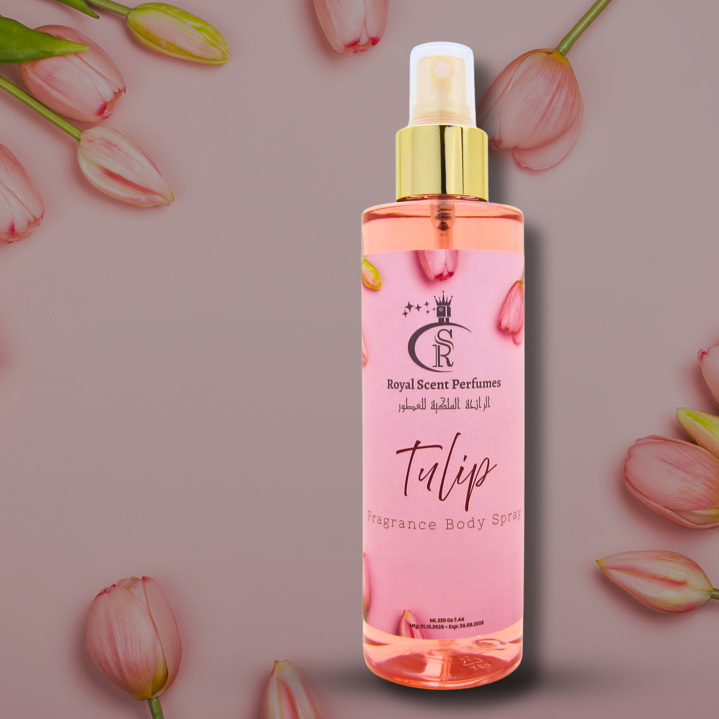 بخاخ الجسم فانتاستيك إسنس